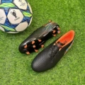 Little Falcon Black Spike