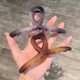 13cm Gradient Frosted Large Grab Clip Advanced Sense Temperament Hairpin Girl's Back of Head Hair Grab Plate Hair Shark Clip