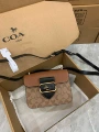 Khaki with brown