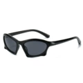 Regular (including 13% special ticket) black frame gray film