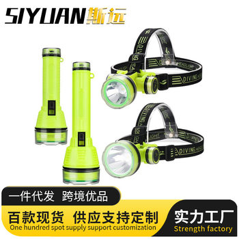 Ipx8 Grade Waterproof Diving Headlight Underwater Fishing Strong Light Flashlight Rechargeable Long Life Head-Mounted Lighting