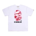 D170 white pink