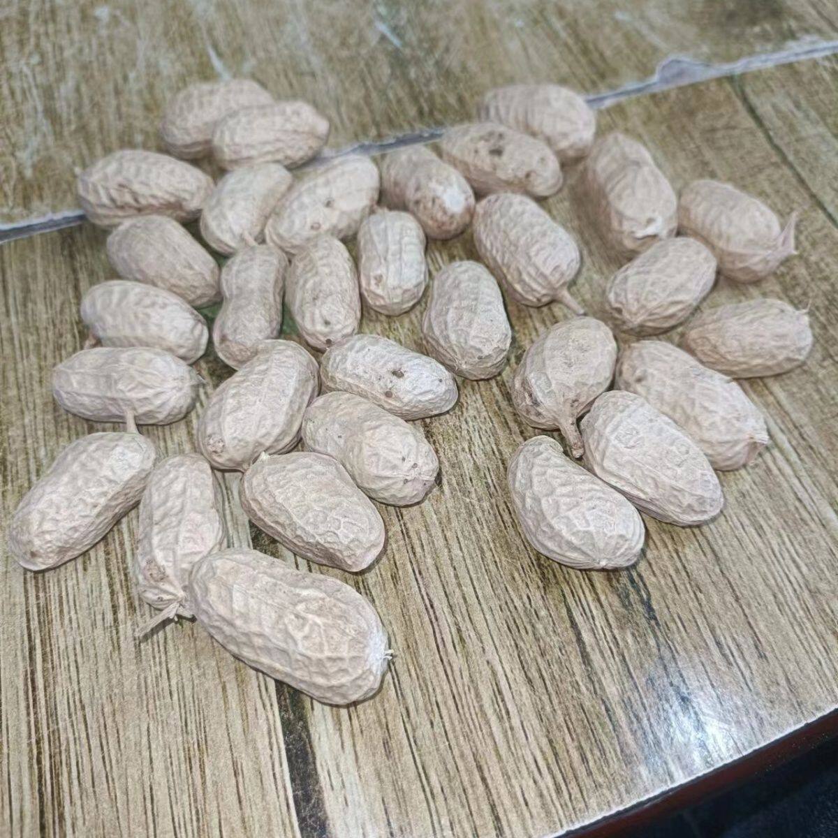 New Arrivals for Autum 2025, Raw Shelled Naturally Sun-Dried Peanuts, Fresh Thin-Shelled Raw Peanuts, Farm-Grown Prunes and Vegetables