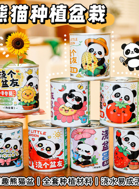 儿童可爱熊猫种植小盆栽手工DIY植物绿植头盆栽小学生创意礼品