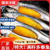 Fresh Commercial Multi-Seed Sea Fish with Full Seeds, Fresh Frozen Grilled Seafood Ingredients