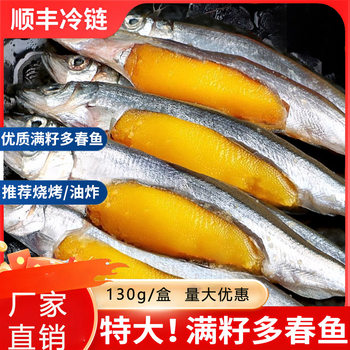 Fresh Commercial Multi-Seed Sea Fish with Full Seeds, Fresh Frozen Grilled Seafood Ingredients