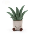 Fun aloe potted plant 45cm