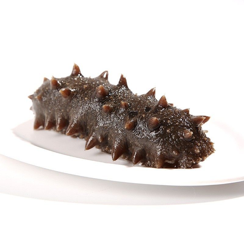 Ready-To-Eat Sea Cucumber Source Factory Fresh Sea Cucumber Liaodong Sea Cucumber Fresh Wholesale Dalian Wild Ready-To-Eat Sea Cucumber Liaodong Sea Cucumber