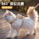 Cute Little Bee Leash, Cute Explosion-Proof Dog Walking Artifact, Pet Leash, Safe and Comfortable Wholesale Special Offer