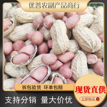 Seasonal New Arrivals, Shelled Raw Peanuts, Dried Peanuts, Large Particles, Farm-Produced, Sun-Dried, Large Quantities in Stock, Dropshipping