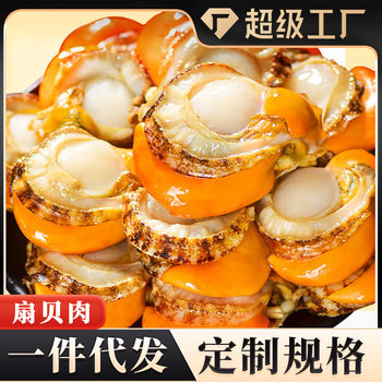 Extra Large Scallop Meat 2040 Fresh Frozen Scallop Meat Special Grade Scallop with Yellow Fresh Quick-Frozen Scallop Commercial Wholesale Delivery