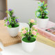 Artificial Flower Potted Plant Indoor Household Dining Table Decoration Small Ornaments Five-leaf Plum Blossom Potted Plastic Flower Cross-border Plant