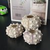 Dream Sea Urchin Shell Princess Wind Night Light Accessories Natural Sea Urchin Shell Mediterranean Lantern Sea Urchin Medal Sea Urchin