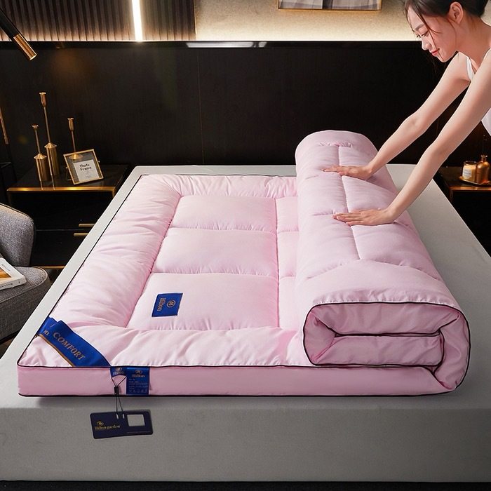 Five-Star Mattress Cushion Five-Star Hotel Feather Silk Thickened Tatami Mat Home Student Dormitory Cushion Quilt