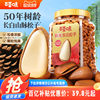 Baicaowei Northeastern Pine Nuts Large Particles 500g Hand-Peeled Snacks Dried Fruits Gift New Nuts Snacks