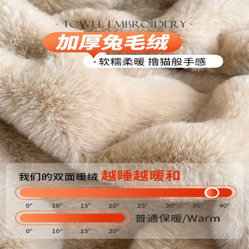 Thick Rabbit Plush Milk Velvet Four-Piece Set Winter Warm Rabbit Velvet Bed Bed Sheets Quilt Cover Lazy Rabbit Velvet Coral Velvet 4