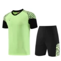Pd02 light green