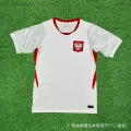 2627 poland home kit