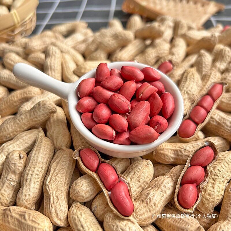 2024 New Red-Skinned Peanuts with Shells, Sun-Dried Raw Farm Seeds, Fresh Four-Skinned Red-Skinned Cooked Peanuts