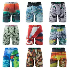 [European and American Hot Style] Ethika Same Style Men's Underwear, Male Underwear, Printed Breathable Youth Underwear, Boys' Underwear
