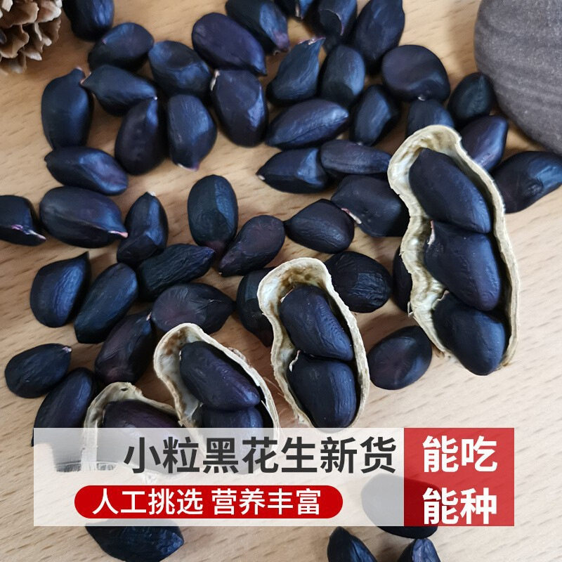 New Crop of 2024 Yunnan Black Peanuts with Shells 1.0kg Farm-Grown Black Peanuts, Small Black Peanuts Specialty