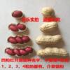 Seasonal New Arrivals Northeast Red-Skinned Peanuts, Shelled Peanuts, Raw Peanut Seeds, Cooked Peanuts, Thin-Skinned Snacks