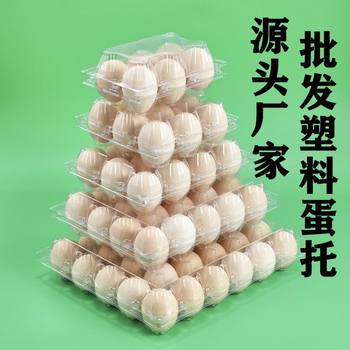 Plastic Egg Tray Disposable Blister Transparent Egg Picnic Basket Box Duck Egg Tray Quail Egg Tray Pigeon Egg Tray