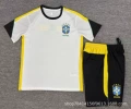 2627 brazilian white