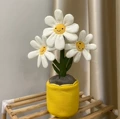 Little daisy 33cm
