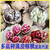 New Yunnan Red-Skinned Walnuts, Thin-Skinned Red Rice, Fresh Snacks, Purple-Skinned Walnuts, Dried Fruits and Nuts, Wholesale Walnuts