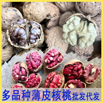 New Yunnan Red-Skinned Walnuts, Thin-Skinned Red Rice, Fresh Snacks, Purple-Skinned Walnuts, Dried Fruits and Nuts, Wholesale Walnuts