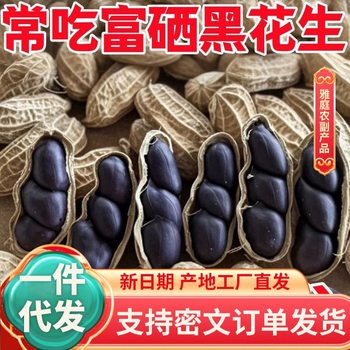 Selenium-Rich Shelled Black Peanuts, Small Black Peanuts, Sweet Black-Skinned Large Peanuts 500g, Yunnan Specialty Black Peanuts