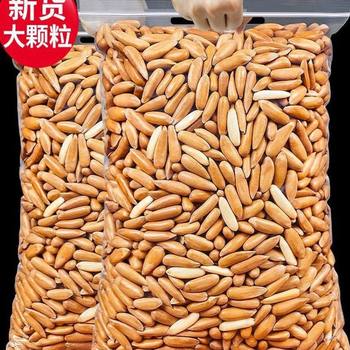 Large, Plump Brazilian Hand-Peeled Pine Nuts in Bulk Bags, Factory Direct, Cross-Border E-Commerce, Wholesale and Dropshipping