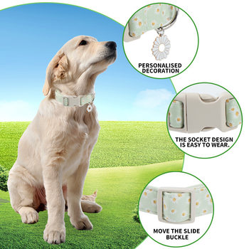 Cross-Border E-Commerce Specializes in Dog Collars, Cotton Animal Prints, Special Technology, Factory Direct Sales, New Pet Collars