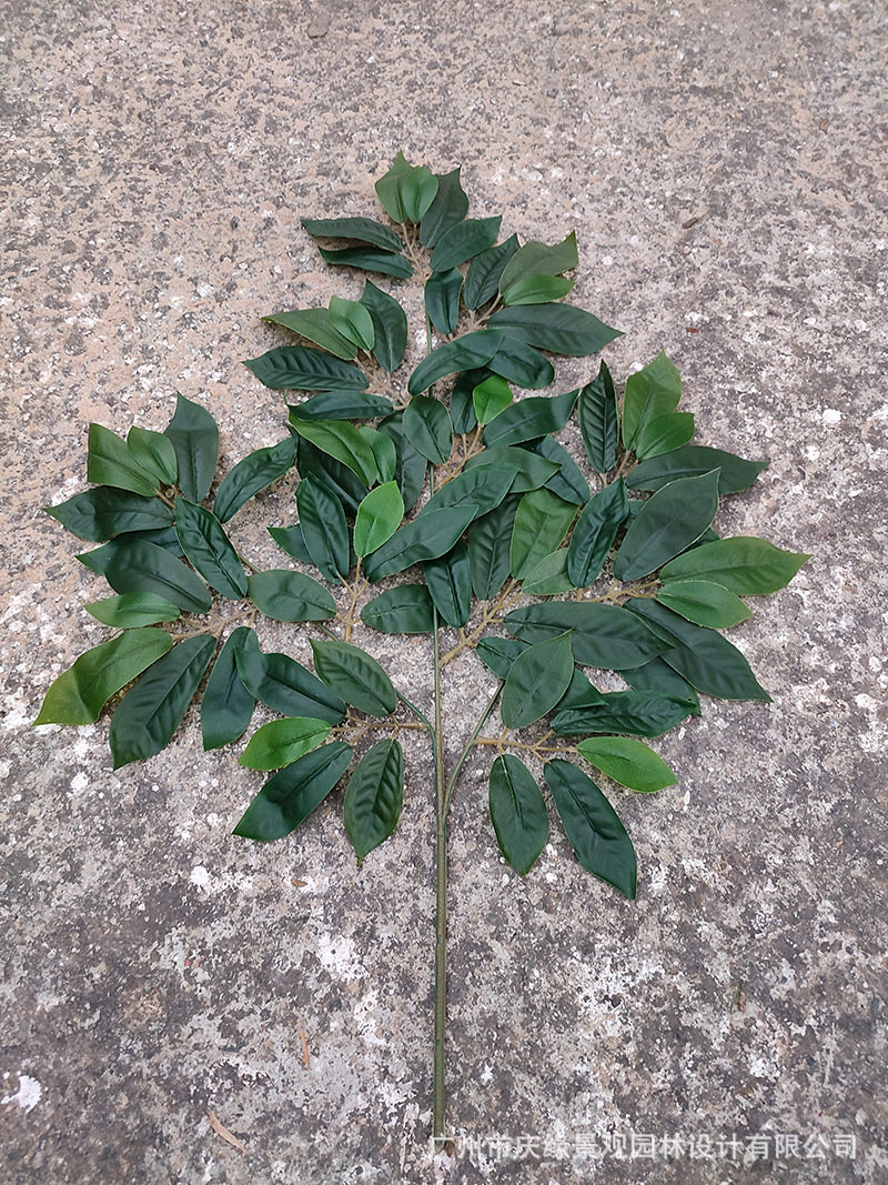 Simulation Chestnut Leaf False Chestnut Tree Leaf Gardenia Tree Leaf Gardenia Tree Leaf Engineering Landscape Fake Flower Material