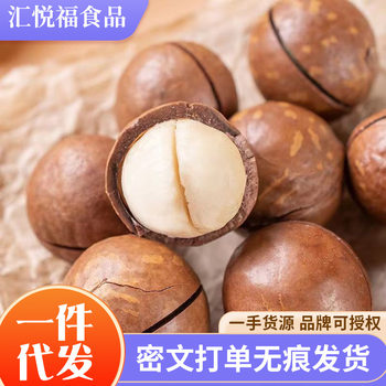 Creamy Macadamia Nuts in Thin Skin Bags for Wholesale Dropshipping, Walnut Summer Fruit with a Milky Macadamia Flavor