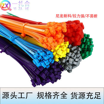 Colorful Self-Locking Nylon Cable Ties Black and White Wholesale Plastic Bundling Cable Ties 3*100 4*150 4*200