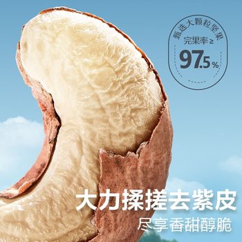 Bestore Purple Skin Cashew Nuts 500g Canned Cashew Nuts with Skin Large Capsules Nut Kernels Packaged at Room Temperature All Year Round