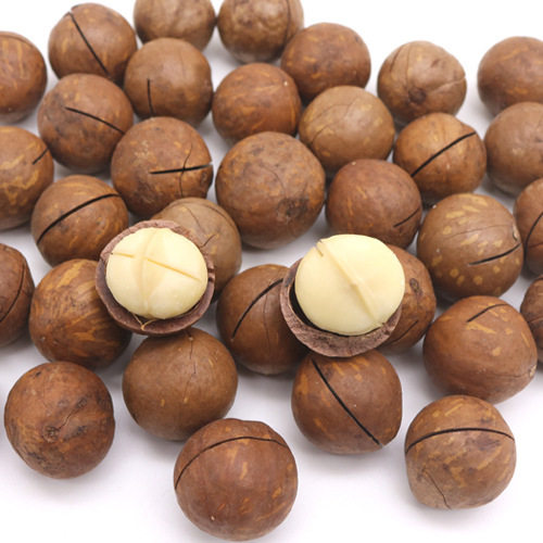 New Large Batch of 500g Macadamia Nuts in Bulk, Creamy Roasted Nuts Snack, Whole Box, Minimum Order of 2.5kg Pieces, Available All Year Round