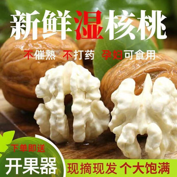 ii2024 Fresh Fresh Green Peel Wet Walnut Tender Walnut Fresh Wet Walnut with Thin Peel Pregnant Women Black