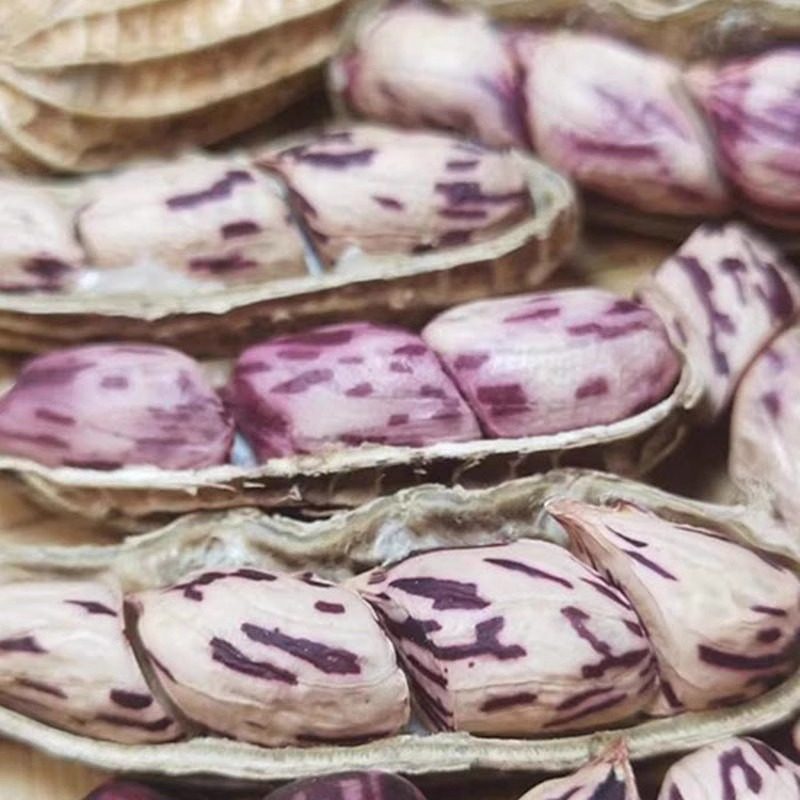 Wholesale new colorful peanuts dried in the sun with shells Yunnan Pu 'er colorful peanuts can be distributed on behalf of 500g