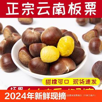 Fresh Chestnuts from Yunnan, Freshly Picked and Shipped Directly from the Farm, Seasonal Oil Chestnuts, Hairy Chestnuts, Fresh Wild Chestnuts