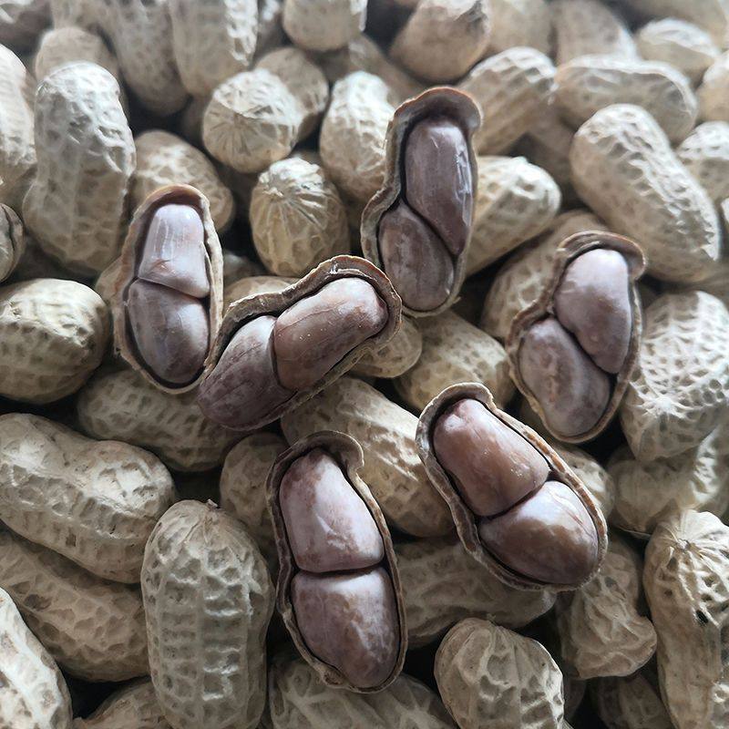 Boiled Peanuts Sun-Dried Longyan Boiled Peanuts Garlic Peanuts Five-Spice Peanuts Boiled Salted Peanuts Salty Dried
