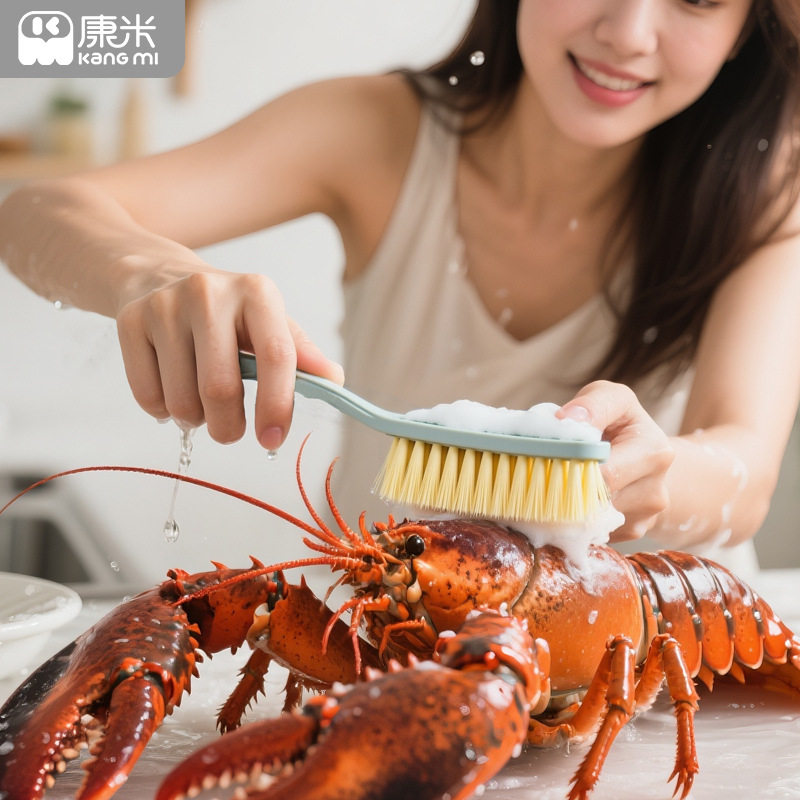 Shoe Brush Household Hard Hair Cleaning Brush Plastic Long Handle Laundry Brush Cleaning Crayfish Brush Department Store Shoe Brush Wholesale