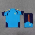 2526 Spanish Blue