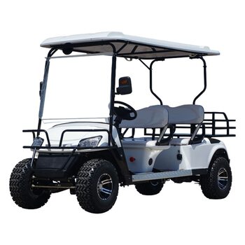 Electric sightseeing car tourist scenic spot Park tour car off-road 2-8 seats watch RV electric golf cart