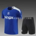 2526 short sleeve chelsea color blue
