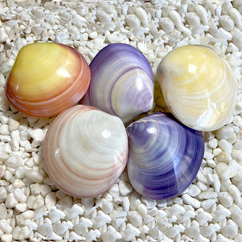 Natural Conch Shells, Purple Clam Shells, White Clam Shells, Gifts, Birthday Gifts, Specimen Collection, Fish Tank Landscaping, Commemorative Collection