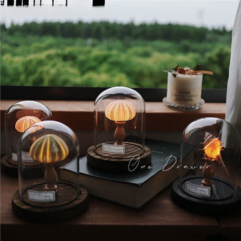 Ocean Island Retro Shell Sea Urchin Conch Lamp Night Light Ornament Handmade Material Pack Mid-Autumn Festival