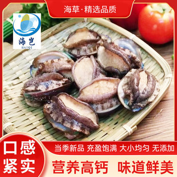 Dongshan Island Sea-Caught Live Frozen Shelled Large Abalone 400g Boxed Hotel Restaurant Seafood Frozen Abalone Ingredients Commercial